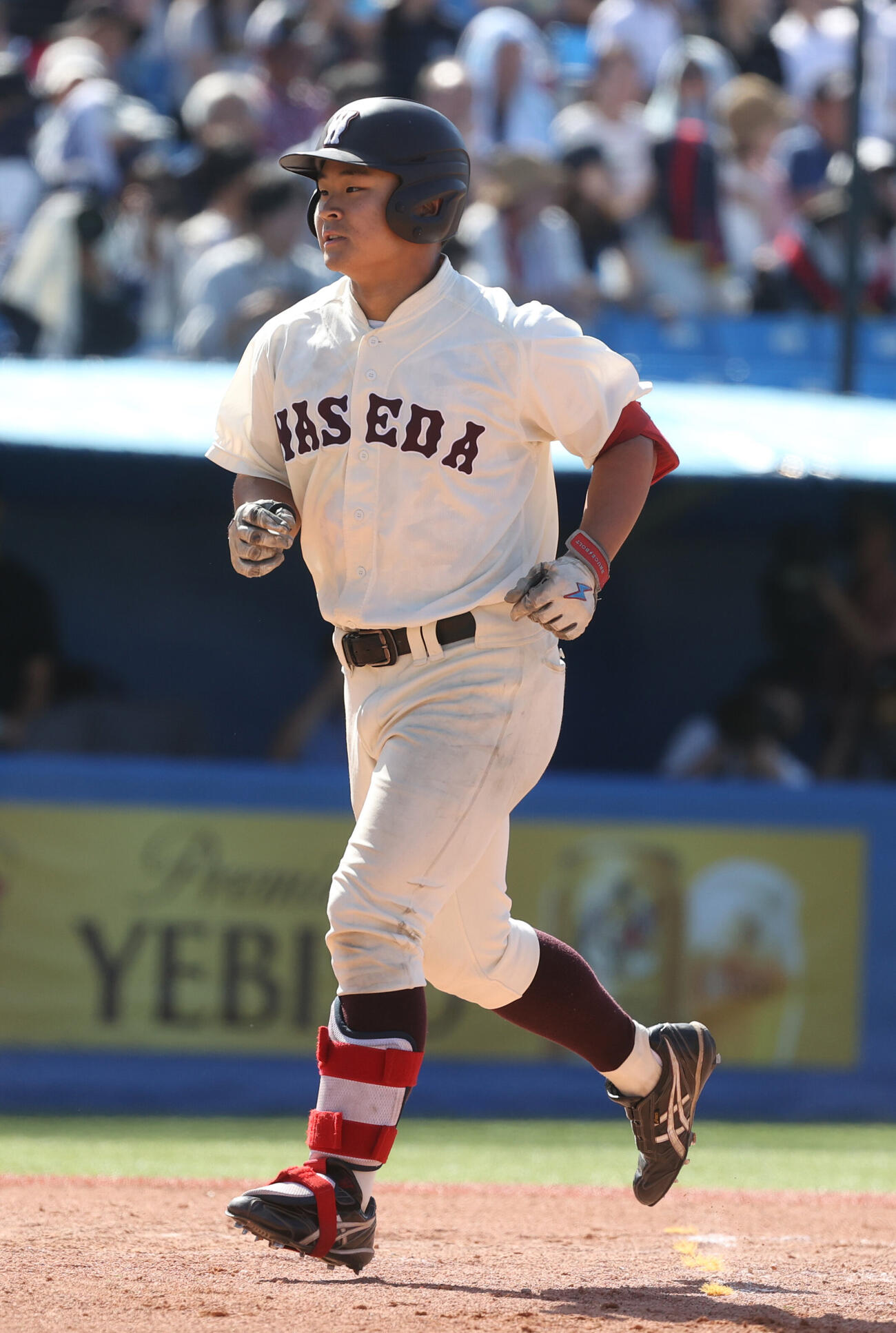 6大学野球　慶大対早大　7回裏早大1死、代打霜結太は本塁打を放ち生還する（撮影・柴田隆二）