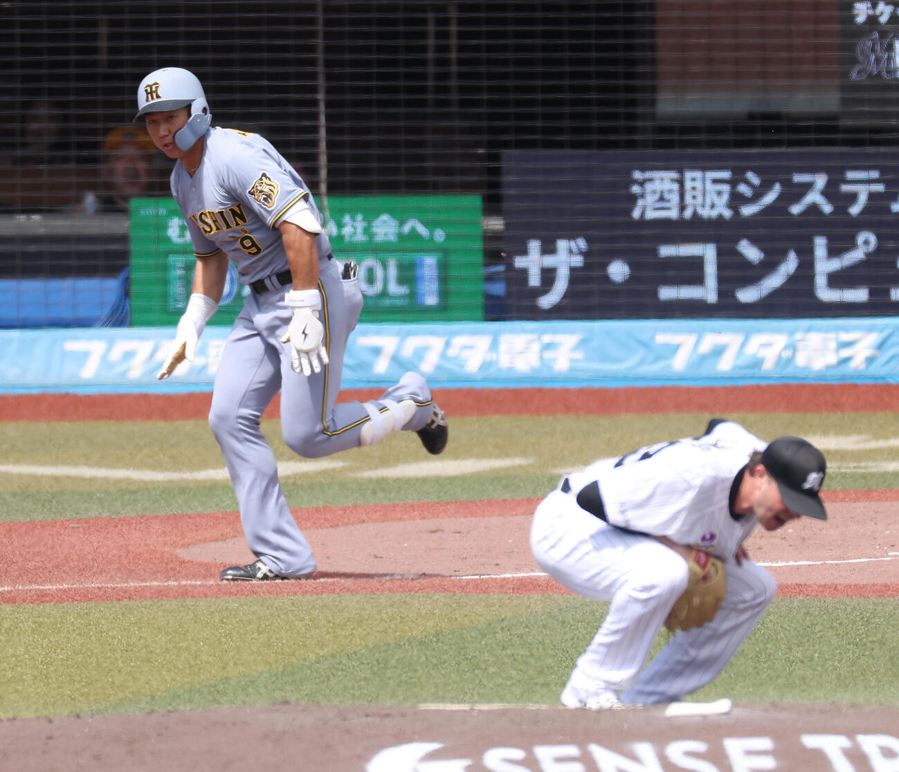 ロッテ対阪神　4回表阪神2死、中前打を放つ立石正広。投手ロング（撮影・河田真司）