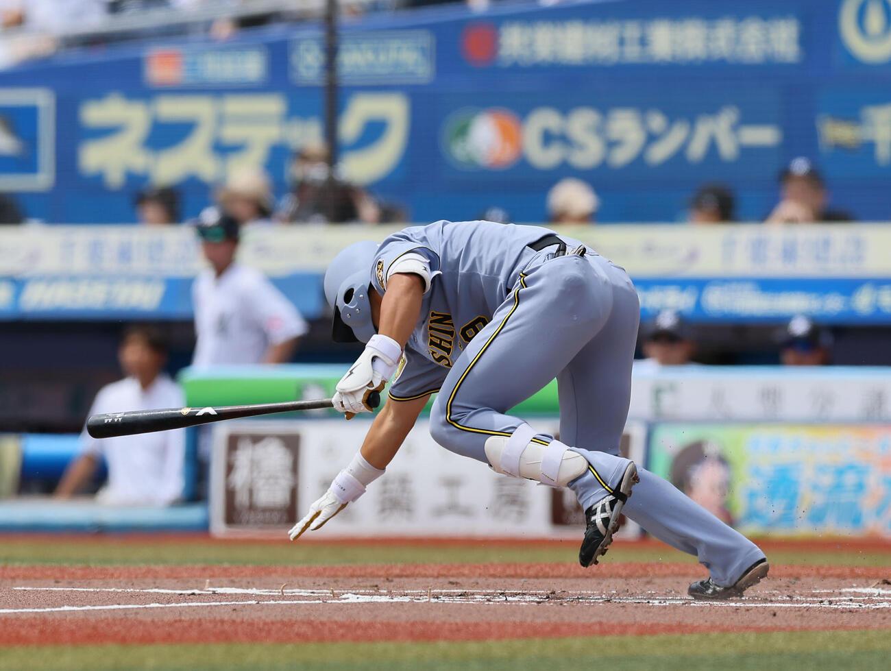 ロッテ対阪　2回表版1死、遊ゴロを放ち、つまずく立石正広（撮影・藤尾明華）＝2026年5月31日、ZOZOマリンスタジアム
