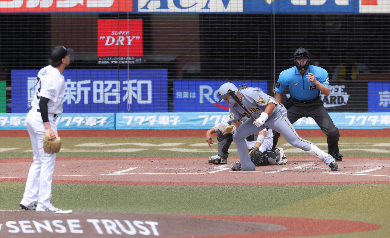 ロッテ対阪神　2回表阪神1死、遊ゴロに倒れる立石正広。投手ロング（撮影・河田真司）