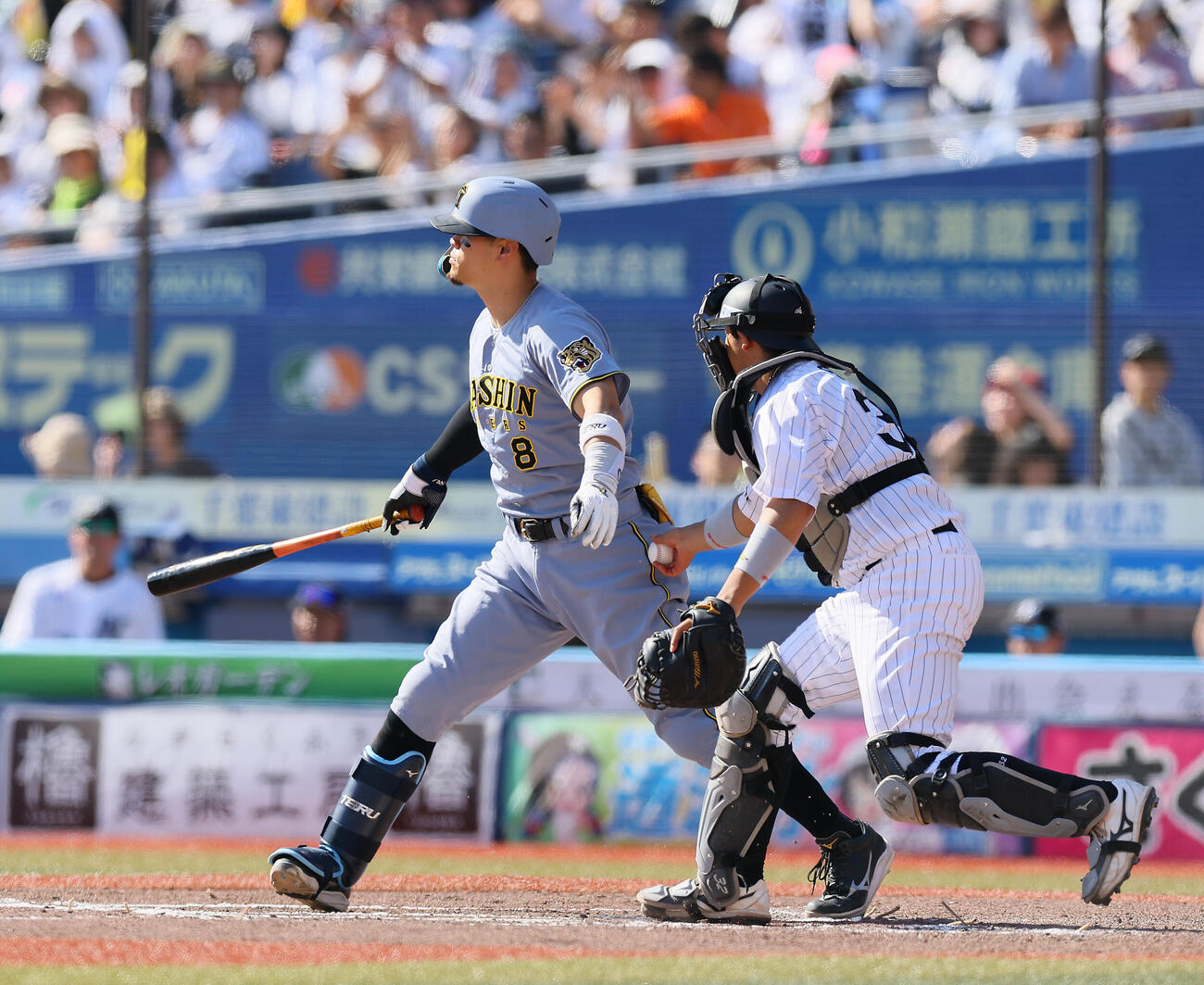 ロッテ対阪　8回表阪神2死、佐藤輝明は三振に倒れる（撮影・藤尾明華）＝2026年5月31日、ZOZOマリンスタジアム