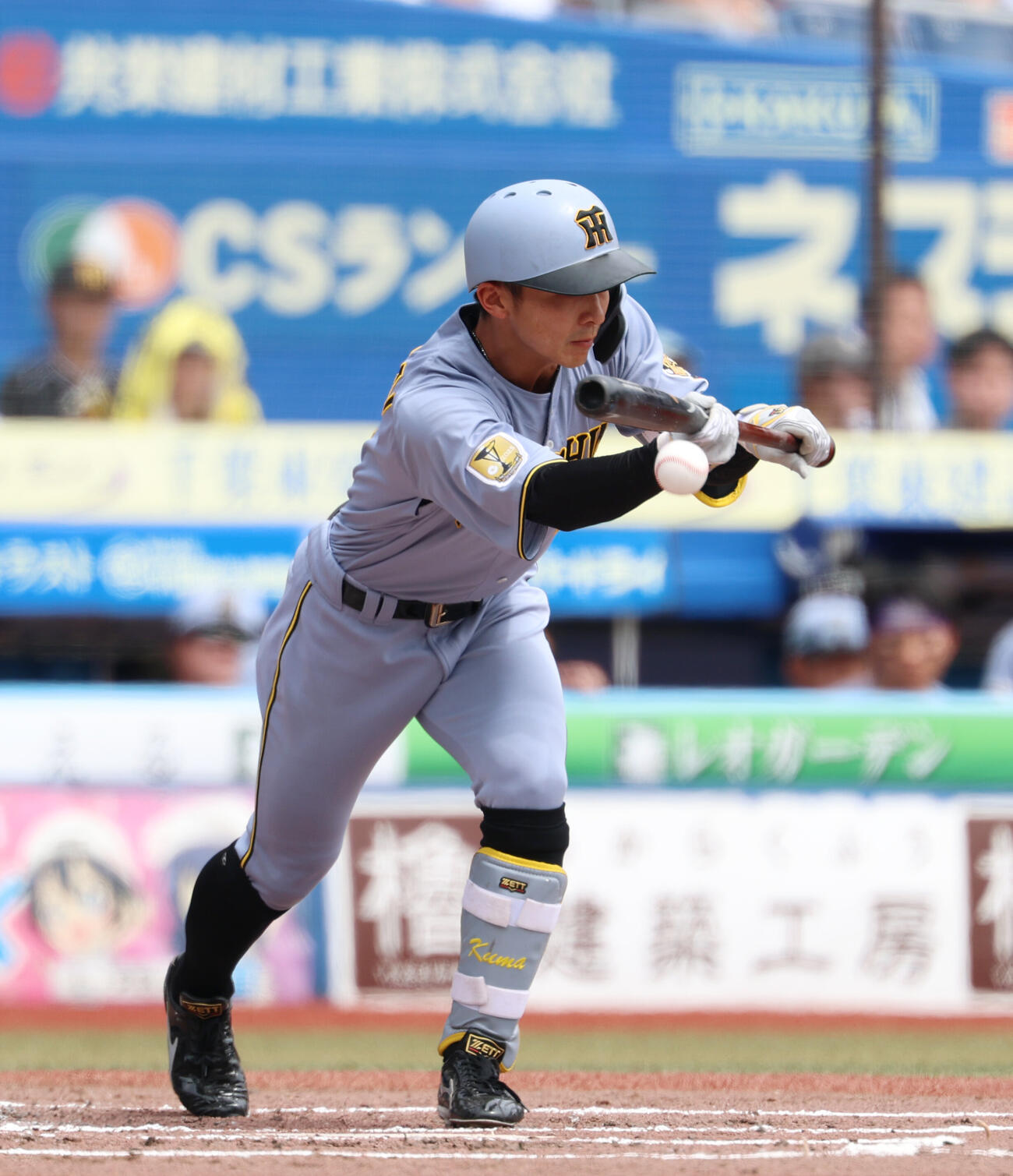 ロッテ対阪神　3回表阪神無死一塁、犠打を成功させる熊谷敬宥（撮影・増田悦実）＝2026年5月31日
