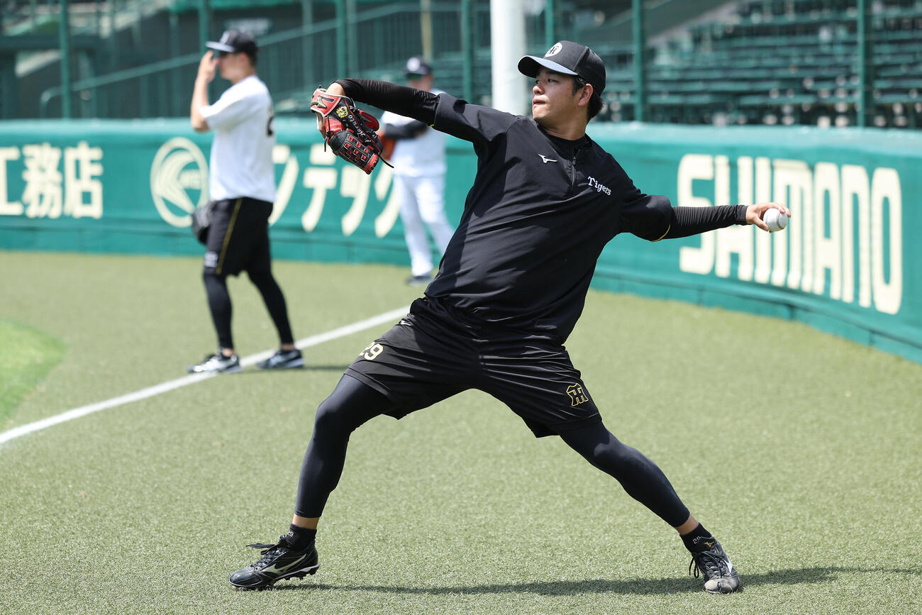 キャッチボールする阪神高橋遥人（撮影・前田充）