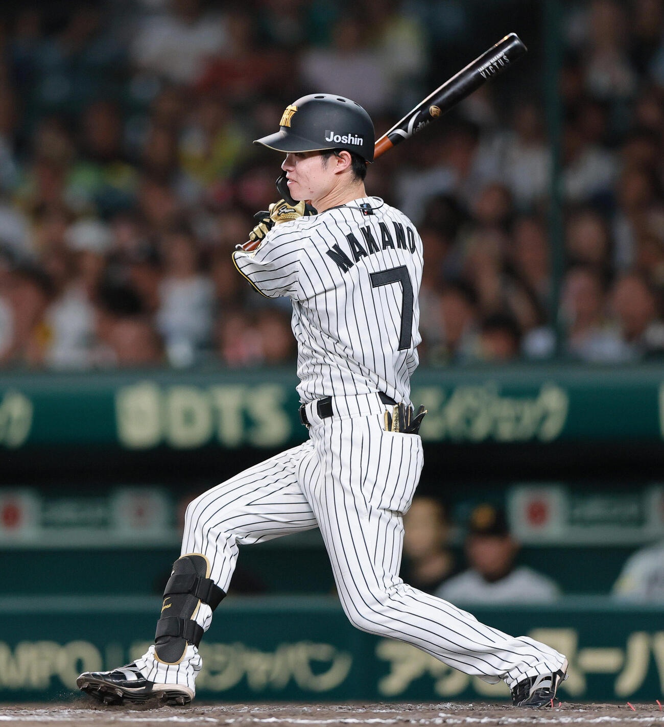 阪神中野拓夢（2026年5月撮影）