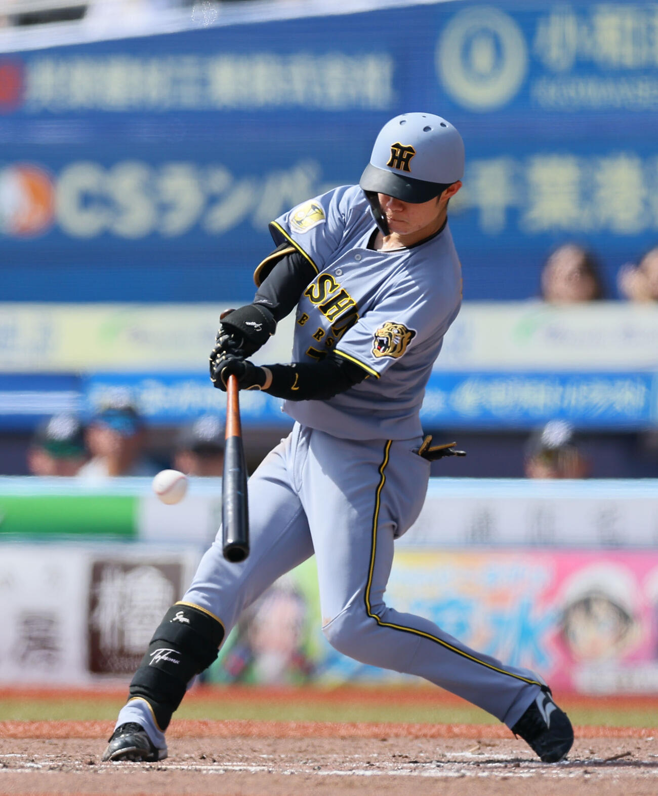 阪神中野拓夢（2026年5月撮影）