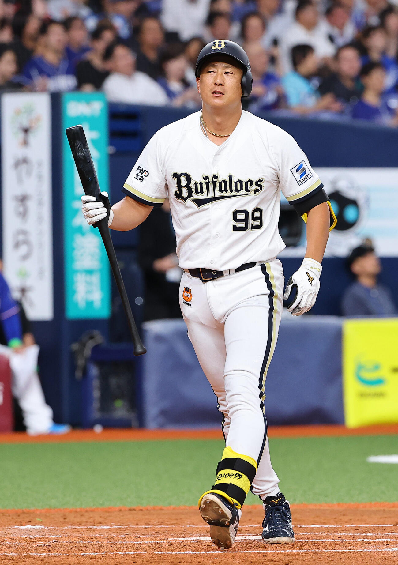 オリックス杉本裕太郎（2026年撮影）