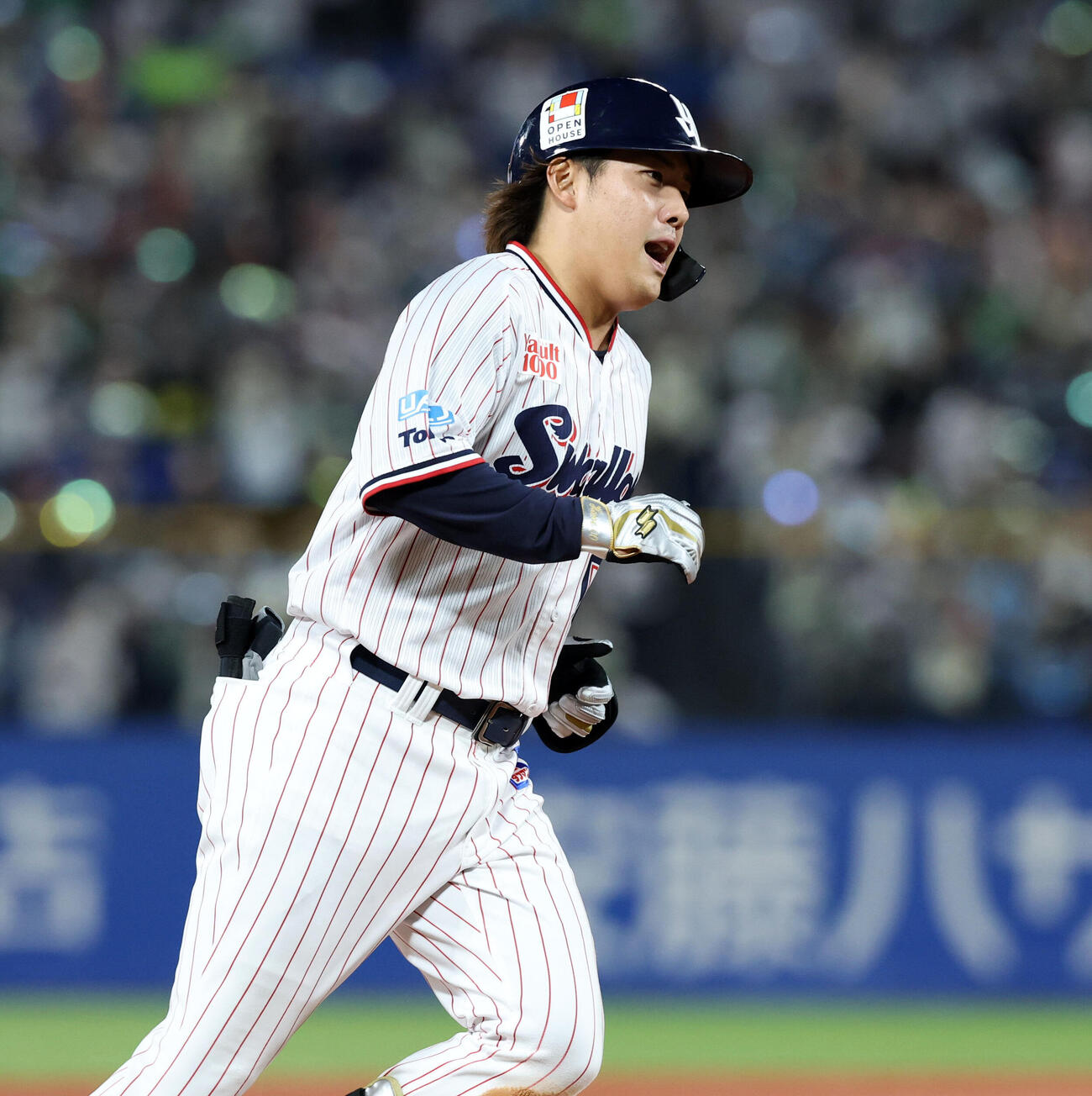 ヤクルト赤羽由紘（2026年4月撮影）　