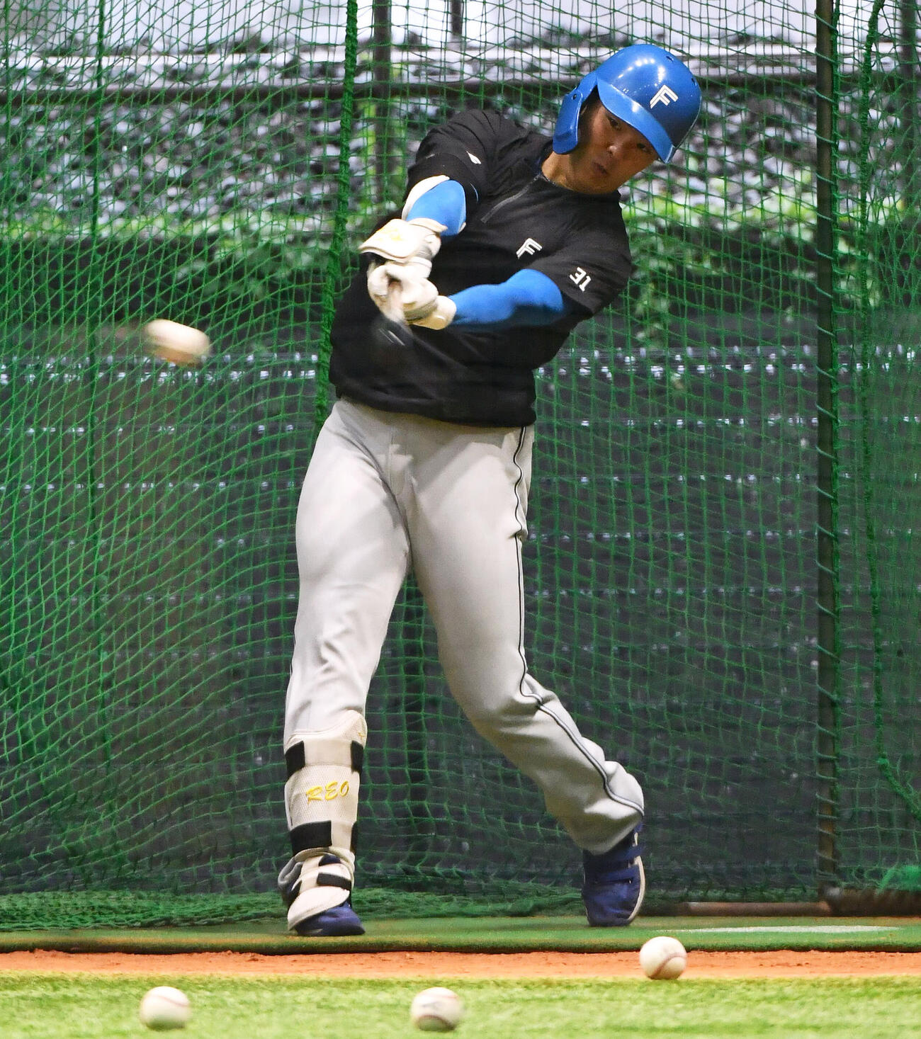 広島対日本ハム　雨天中止となり、室内練習場でフリー打撃を行う日本ハム柴田獅子（撮影・岩下翔太）