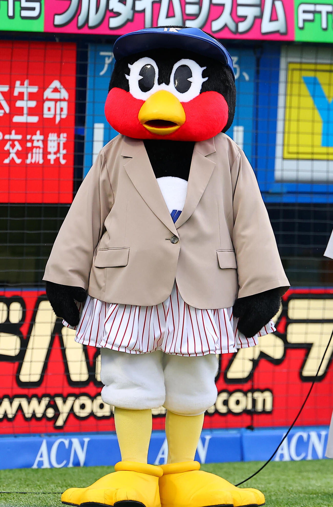 ヤクルト対ロッテ　ジャケットを着用するつばみ（撮影・野上伸悟）
