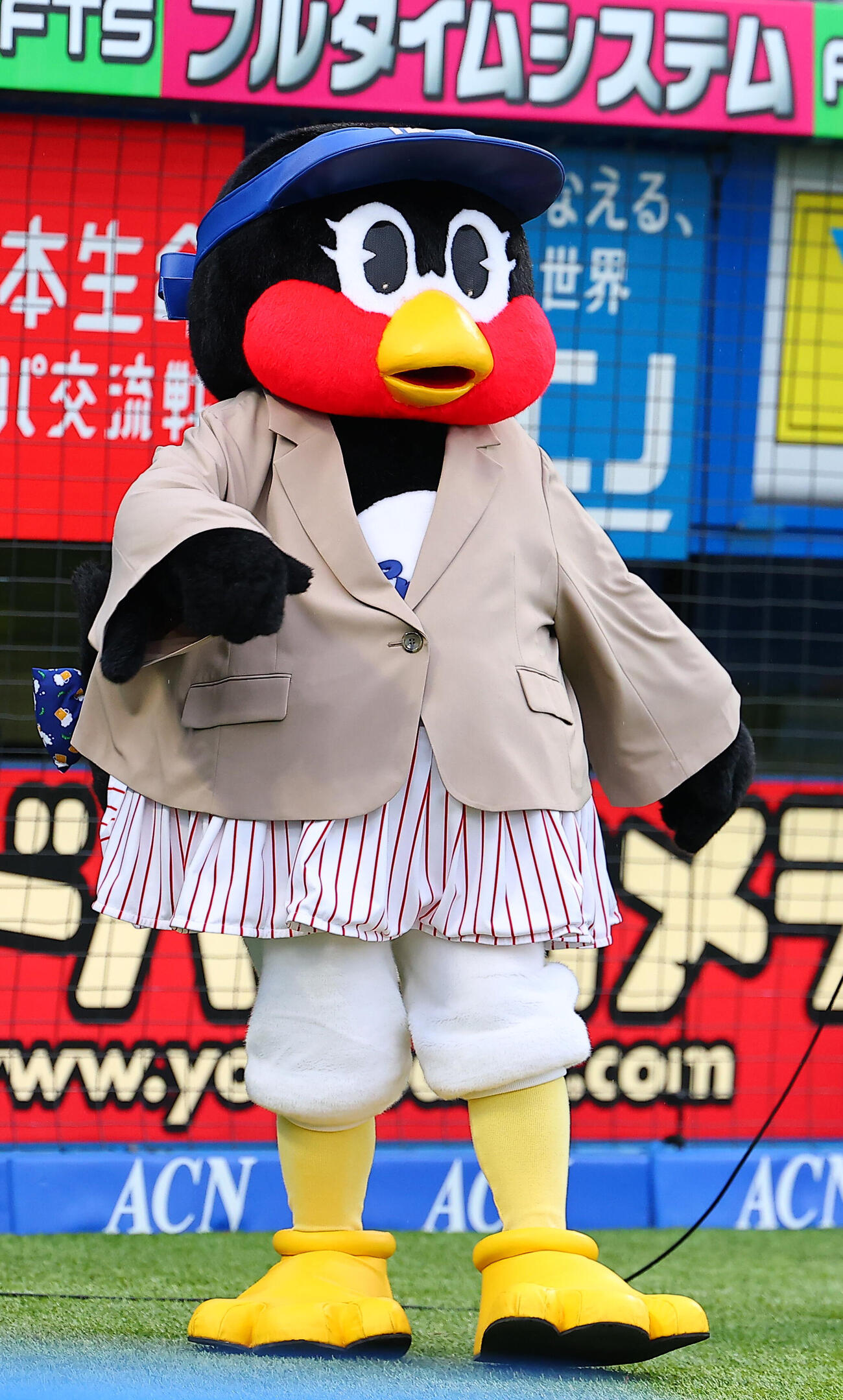 ヤクルト対ロッテ　ジャケットを着用するつばみ（撮影・野上伸悟）