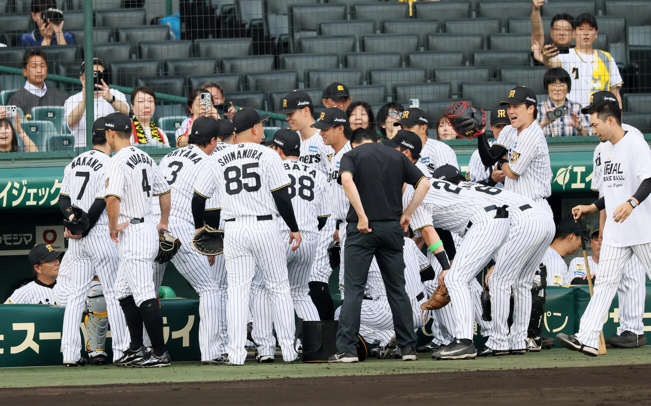 阪神対西武　試合前、円陣を組む阪神ナイン（撮影・加藤哉）