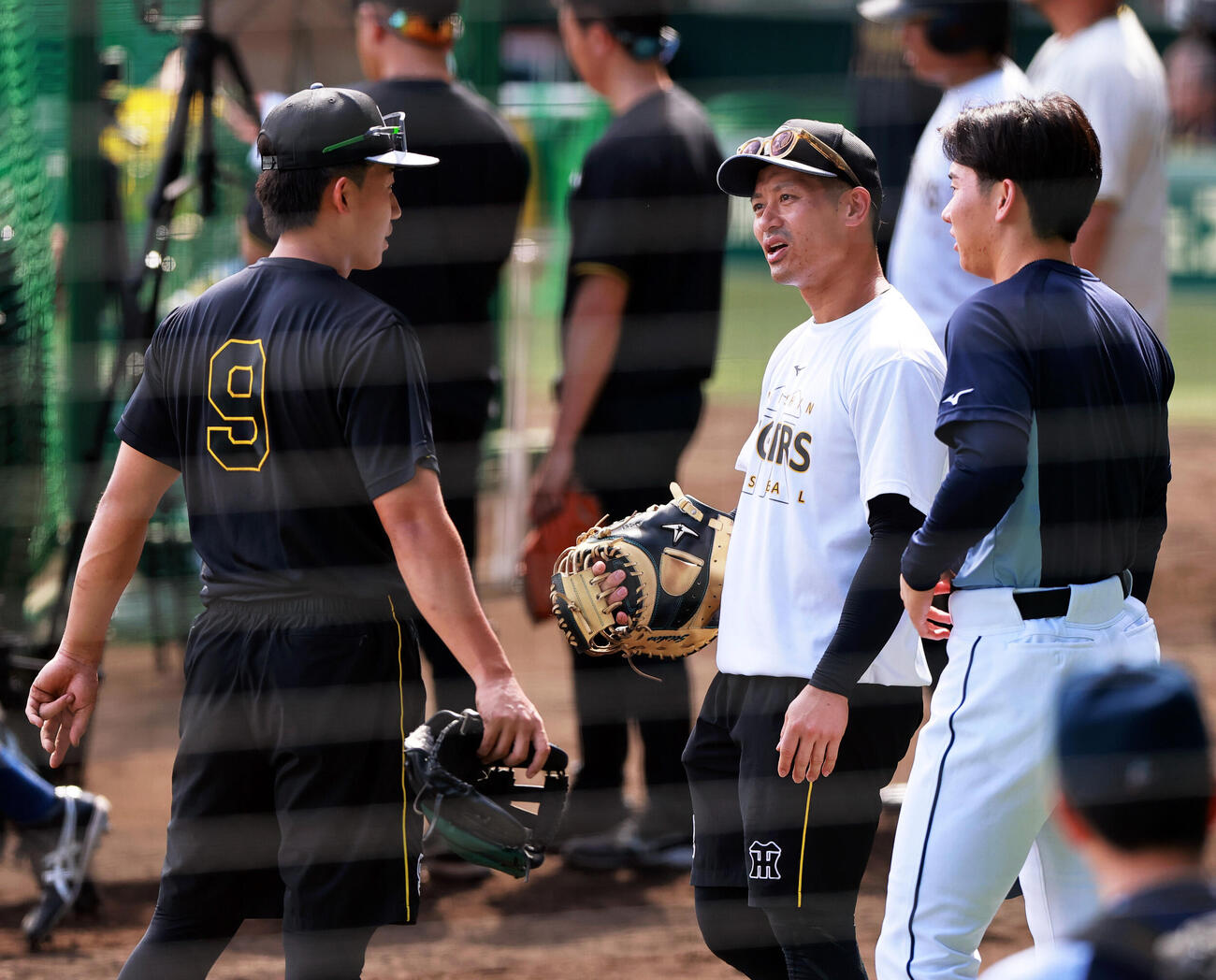 阪神対西武　試合前、西武小島大河（右）と話す阪神坂本誠志郎（中央）と阪神立石正広（撮影・上山淳一）＝2026年6月3日