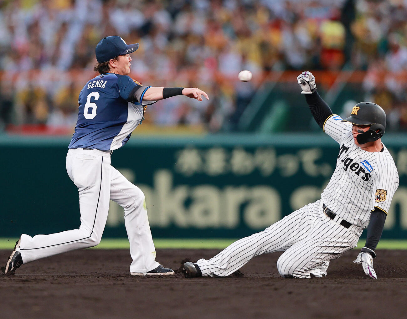 阪神対西武　4回裏阪神無死一塁、源田壮亮（左）は佐藤輝明の二ゴロで併殺を狙うが一塁はセーフ。右は一走森下翔太（撮影・上山淳一）