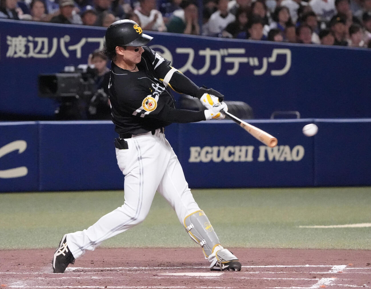 ソフトバンク正木智也（2026年6月撮影）