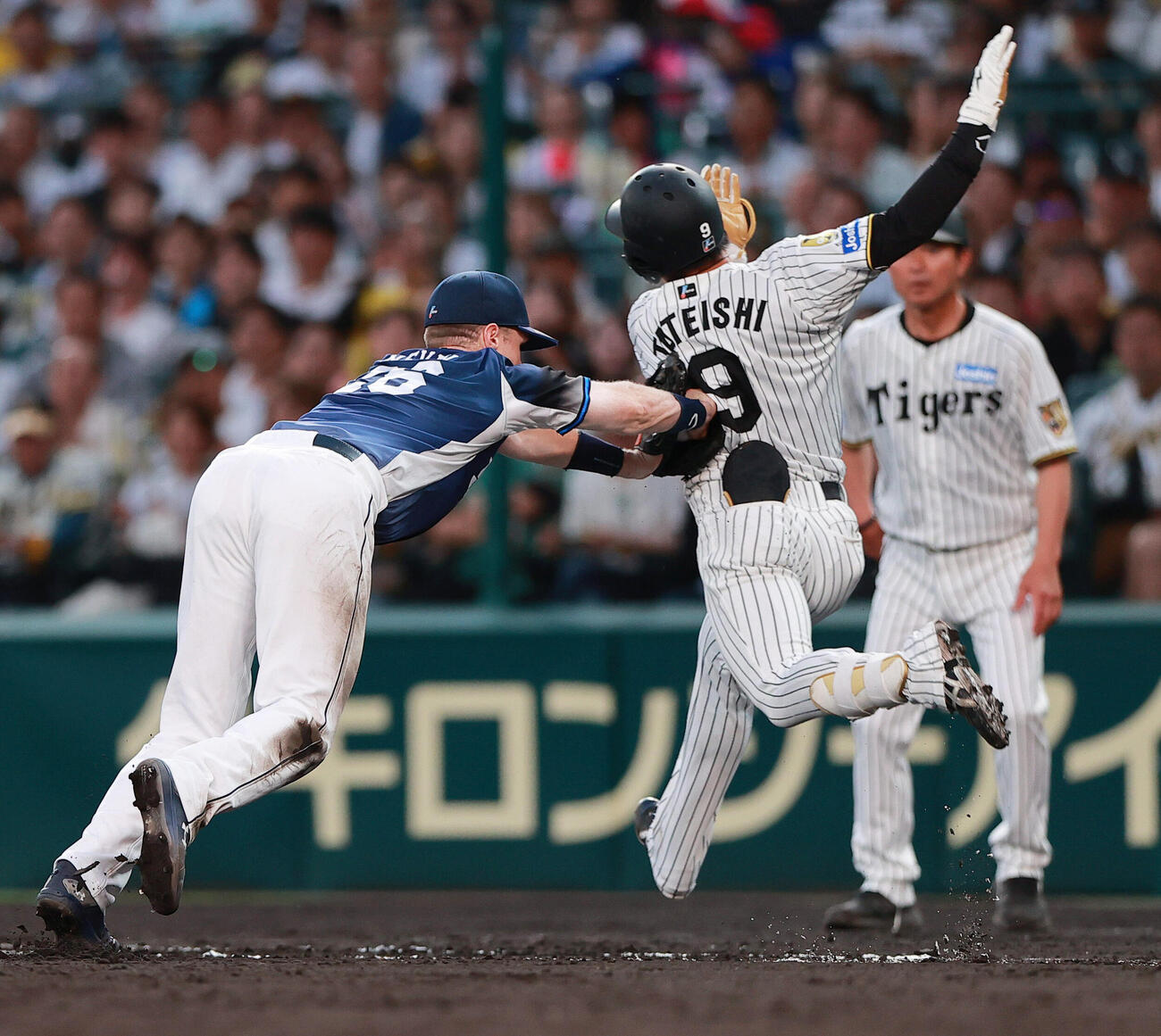 阪神対西武　4回裏阪神2死一塁、一塁手タイラー・ネビンは立石正広の打球をファンブルするもタッチアウトにする（撮影・上山淳一）