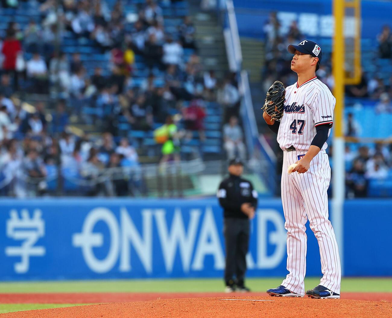 ヤクルト対ロッテ　1回表のマウンドに立つヤクルト先発の高橋奎二（撮影・野上伸悟）