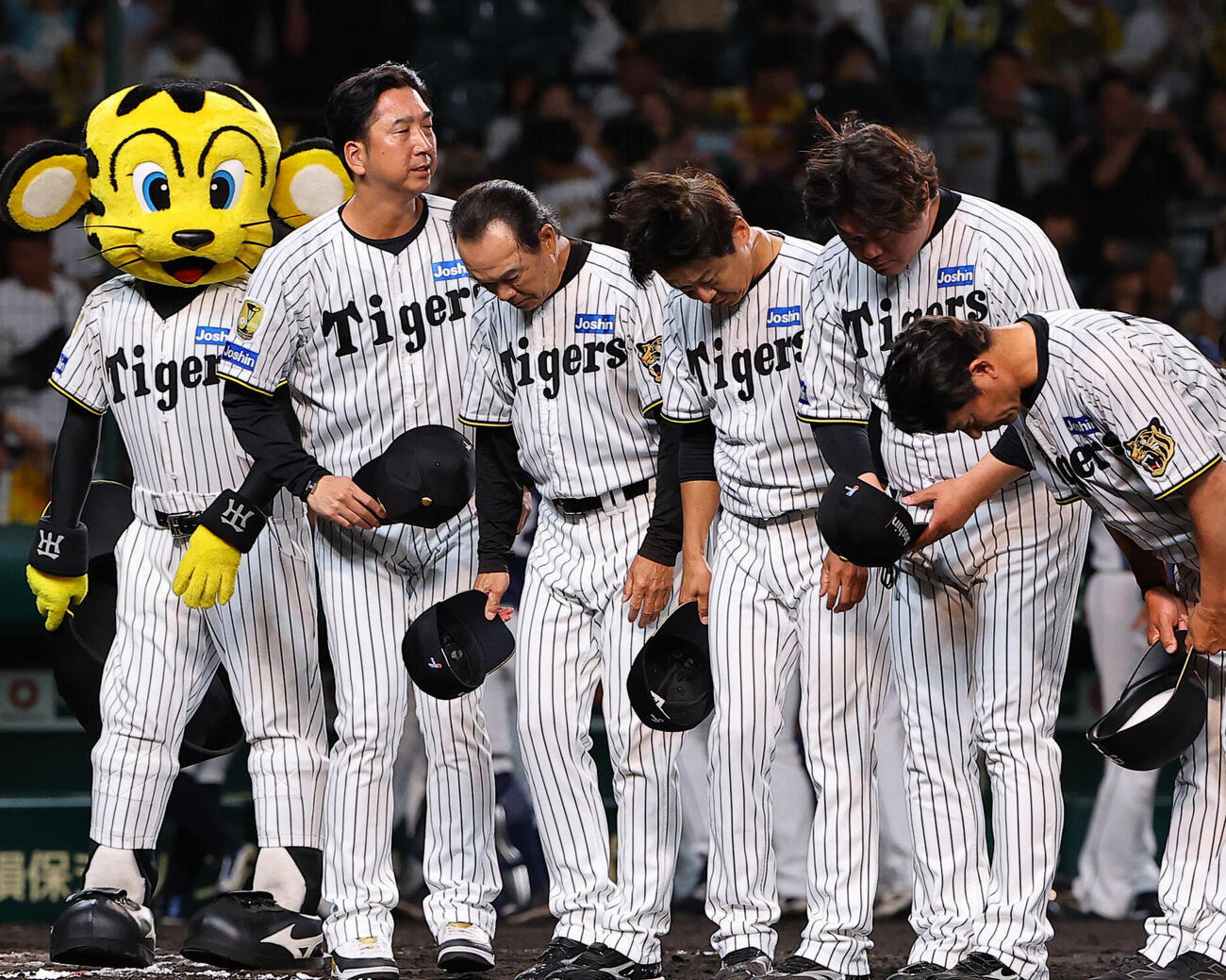 2026年6月3日、阪神対西武　西武に敗れた藤川球児監督（左から2人目）はファンにあいさつをする（撮影・上田博志）