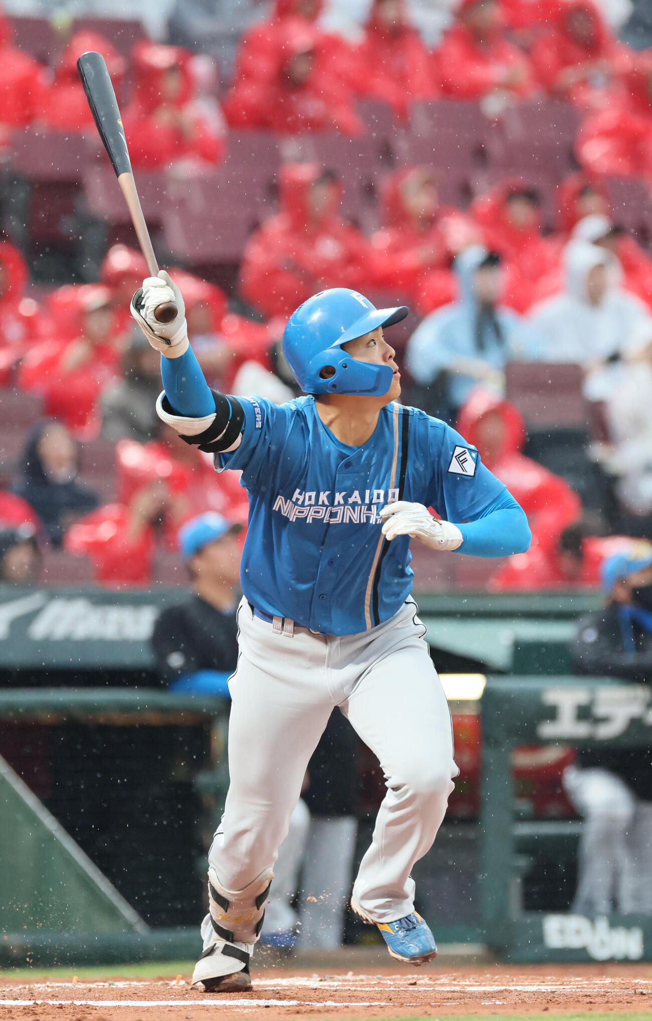広島対日本ハム　2回2回表日本ハム2死、柴田獅子は左飛（撮影・加藤孝規）