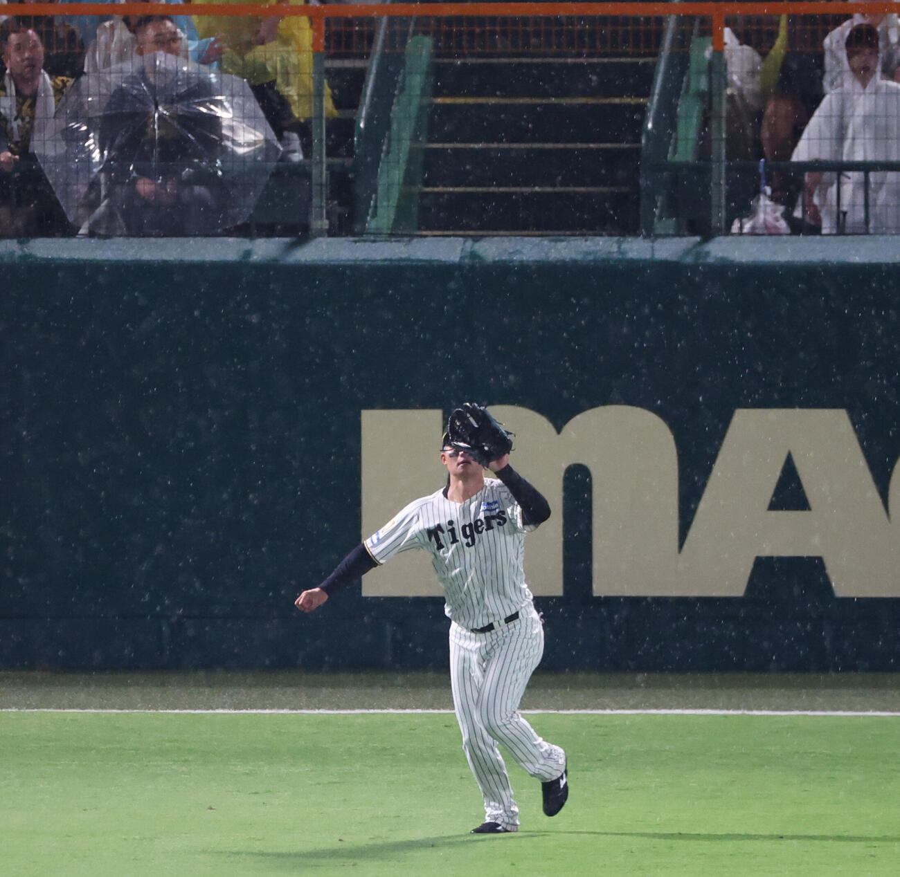 阪神対西武　6回表西武1死一塁、左翼手森下翔太は渡部の打球を捕れるふりをして足止めをかけようとするが、引っかからず走者は生還（撮影・西尾就之）