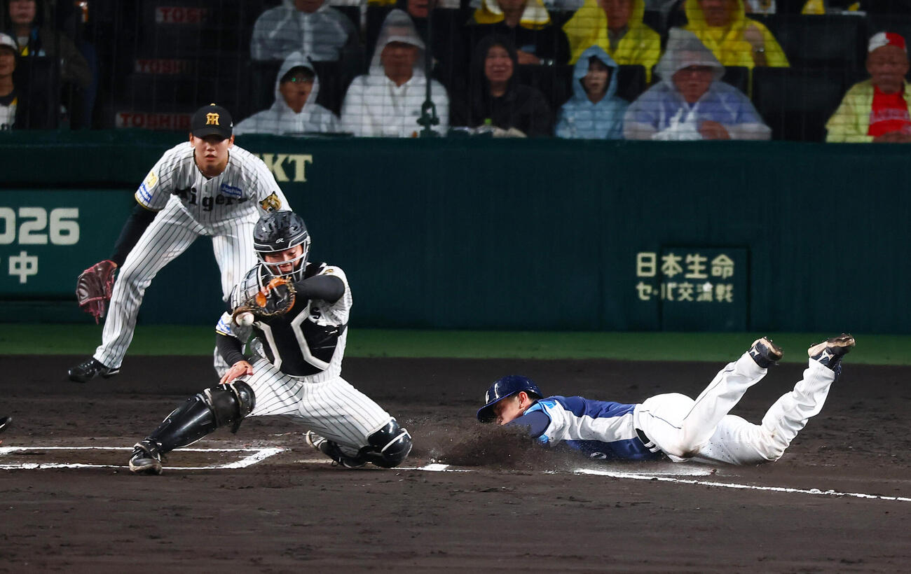 阪神対西武　6回表西武1死一塁、一走小島大河は渡部聖弥の左越え適時二塁打で生還する。捕手嶋村麟士朗（撮影・加藤哉）2026年6月4日