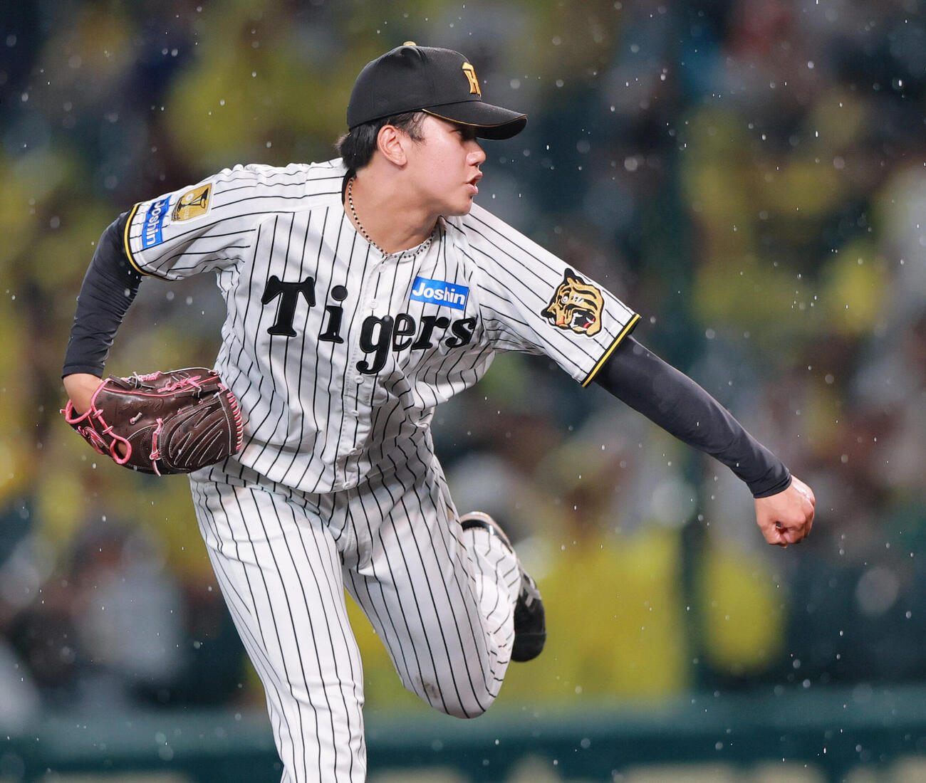 阪神対西武　6回表に登板する阪神門別啓人（撮影・上山淳一）