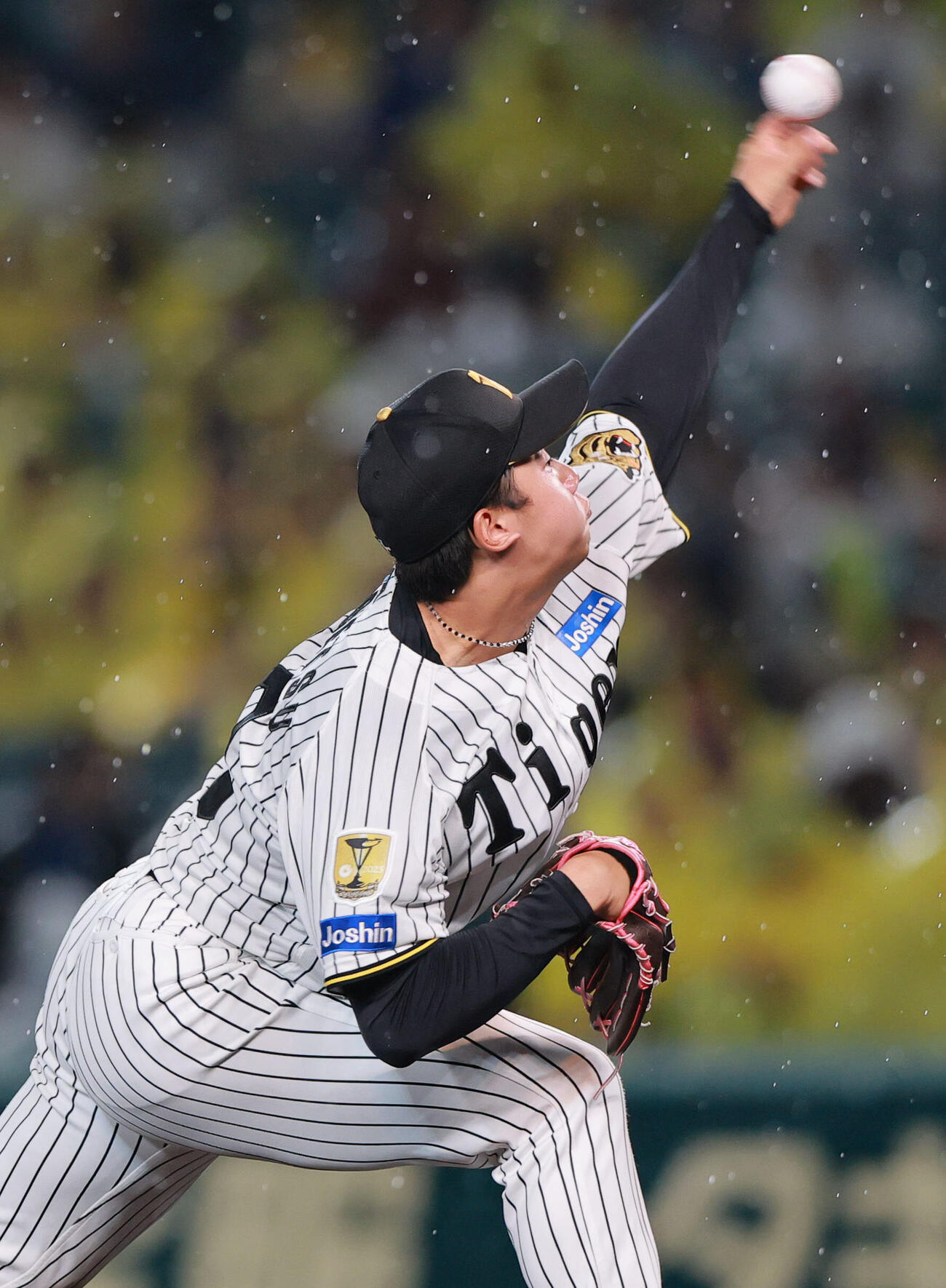 阪神対西武　6回表に登板する阪神門別啓人（撮影・上山淳一）