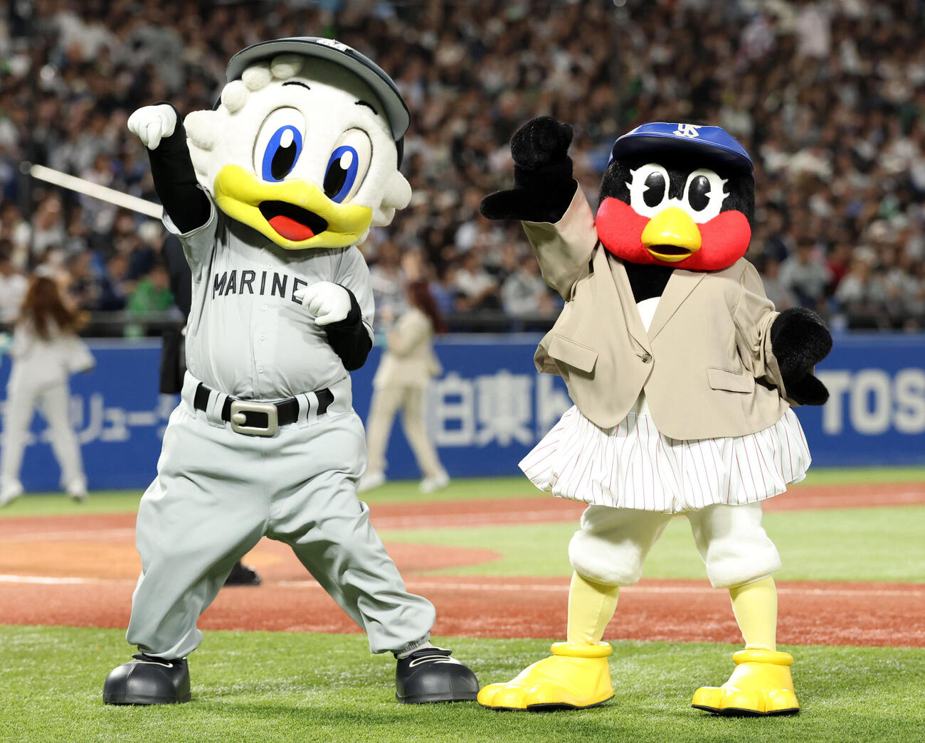 ヤクルト対ロッテ　キャッツアイを踊るロッテのマー君とヤクルトのつばみ（撮影・浅見桂子）