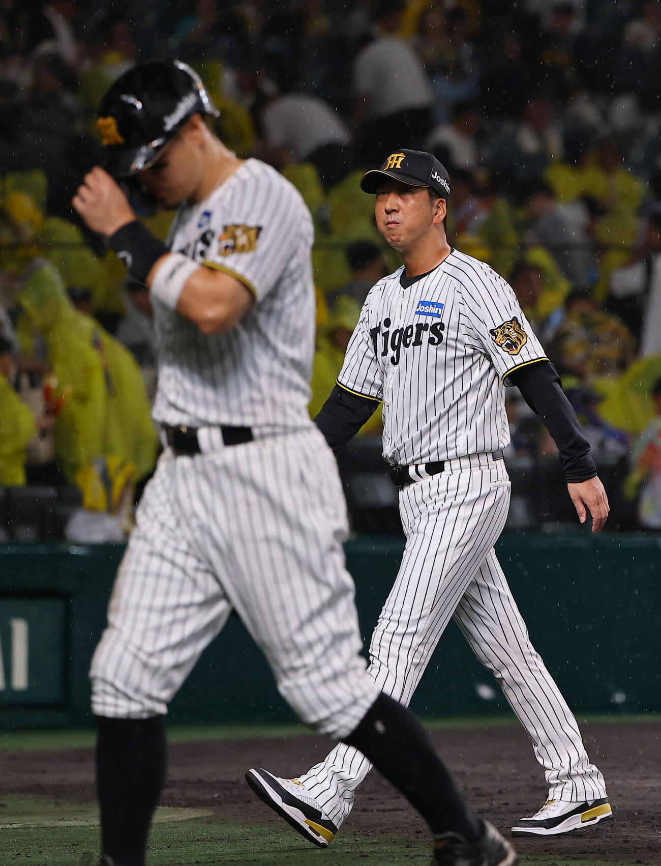 阪神対西武　ファンへのあいさつを終えた藤川球児監督はベンチに引き揚げる。手前は佐藤輝明（撮影・上田博志）