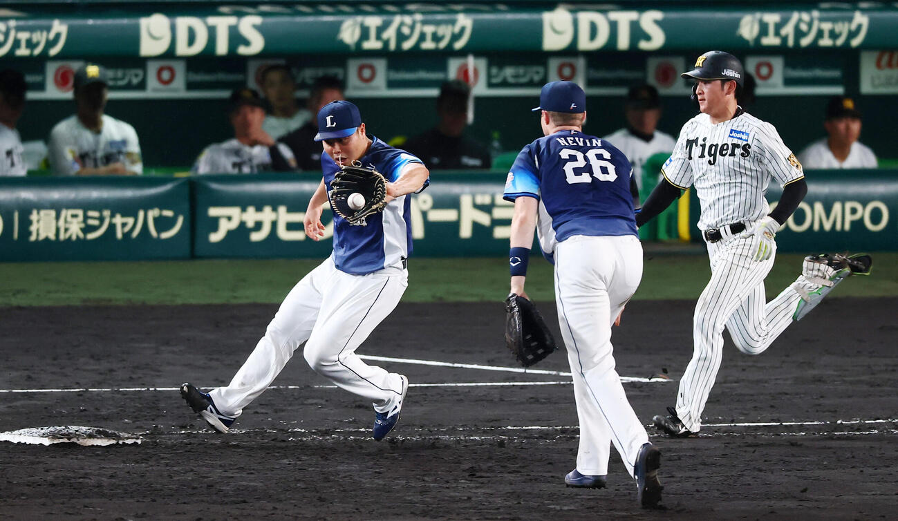 阪神対西武　7回裏阪神1死、平良海馬は高寺望夢の一ゴロでタイラー・ネビン（中央）からホールをトスされる（撮影・加藤哉）