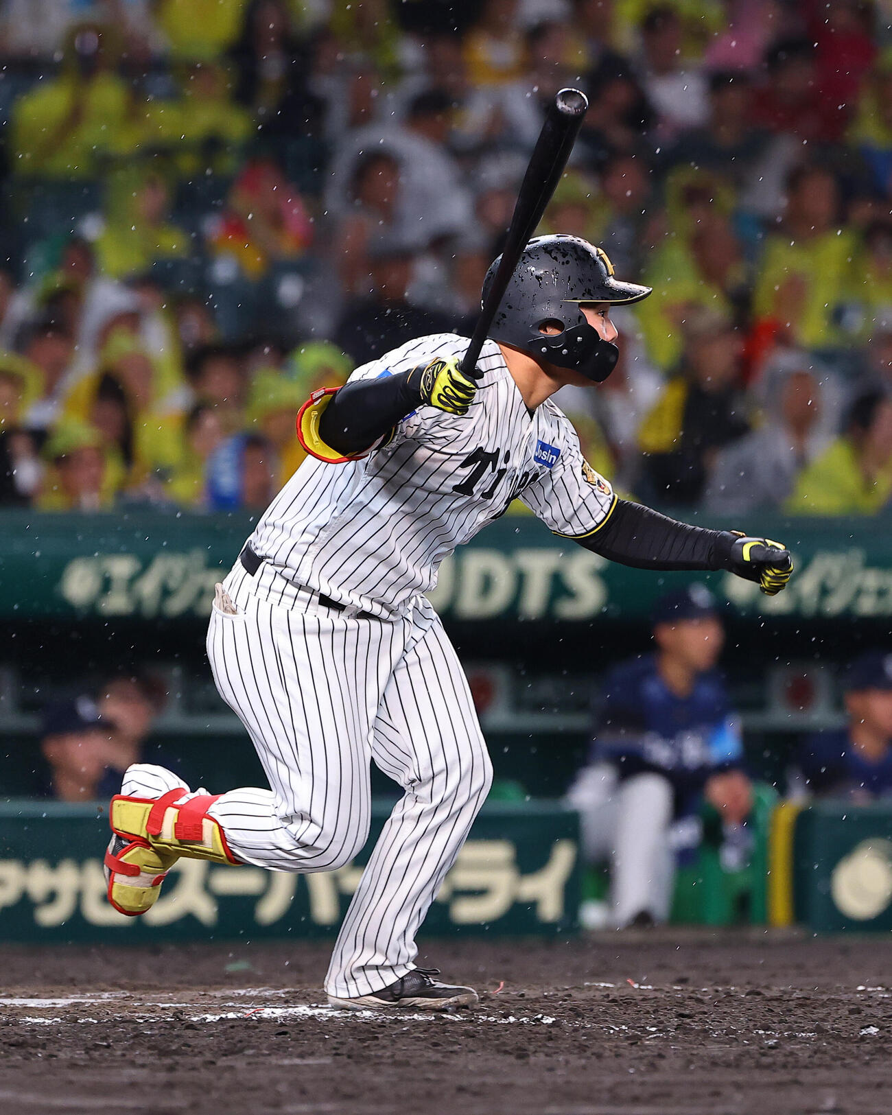 阪神対西武　5回裏阪神2死二塁、代打嶋村麟士朗は適時打を放つ（撮影・上田博志）