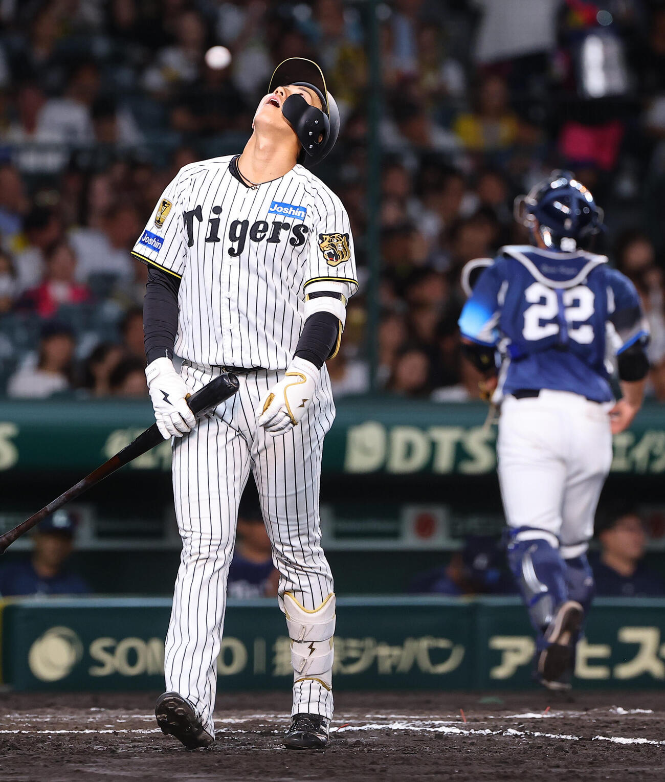 三振に倒れる立石正広（2026年6月撮影）