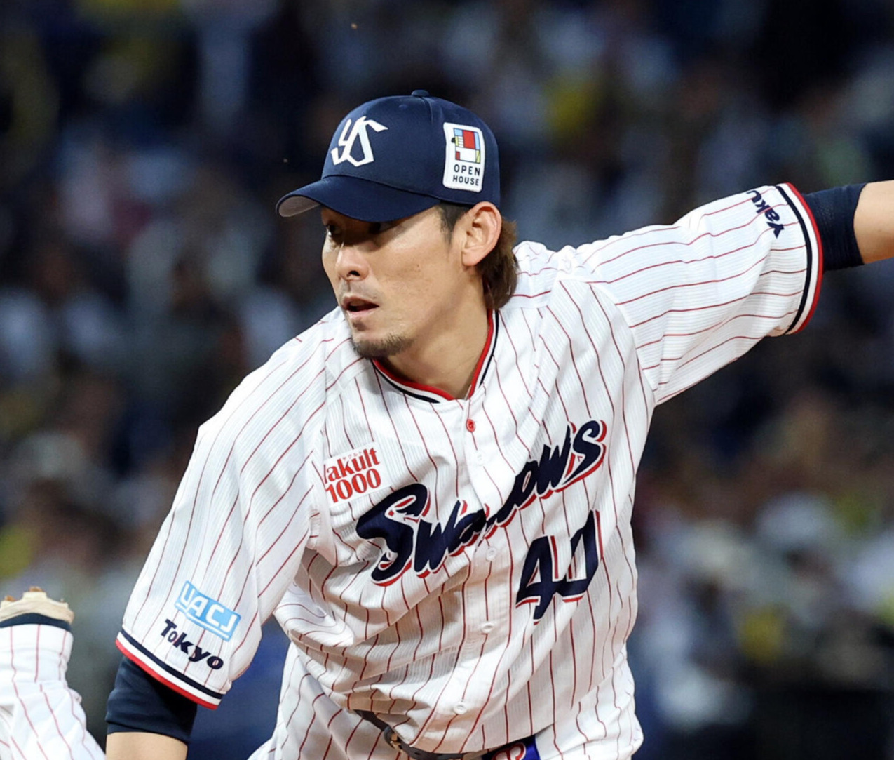 ヤクルト高梨裕稔（2026年撮影）