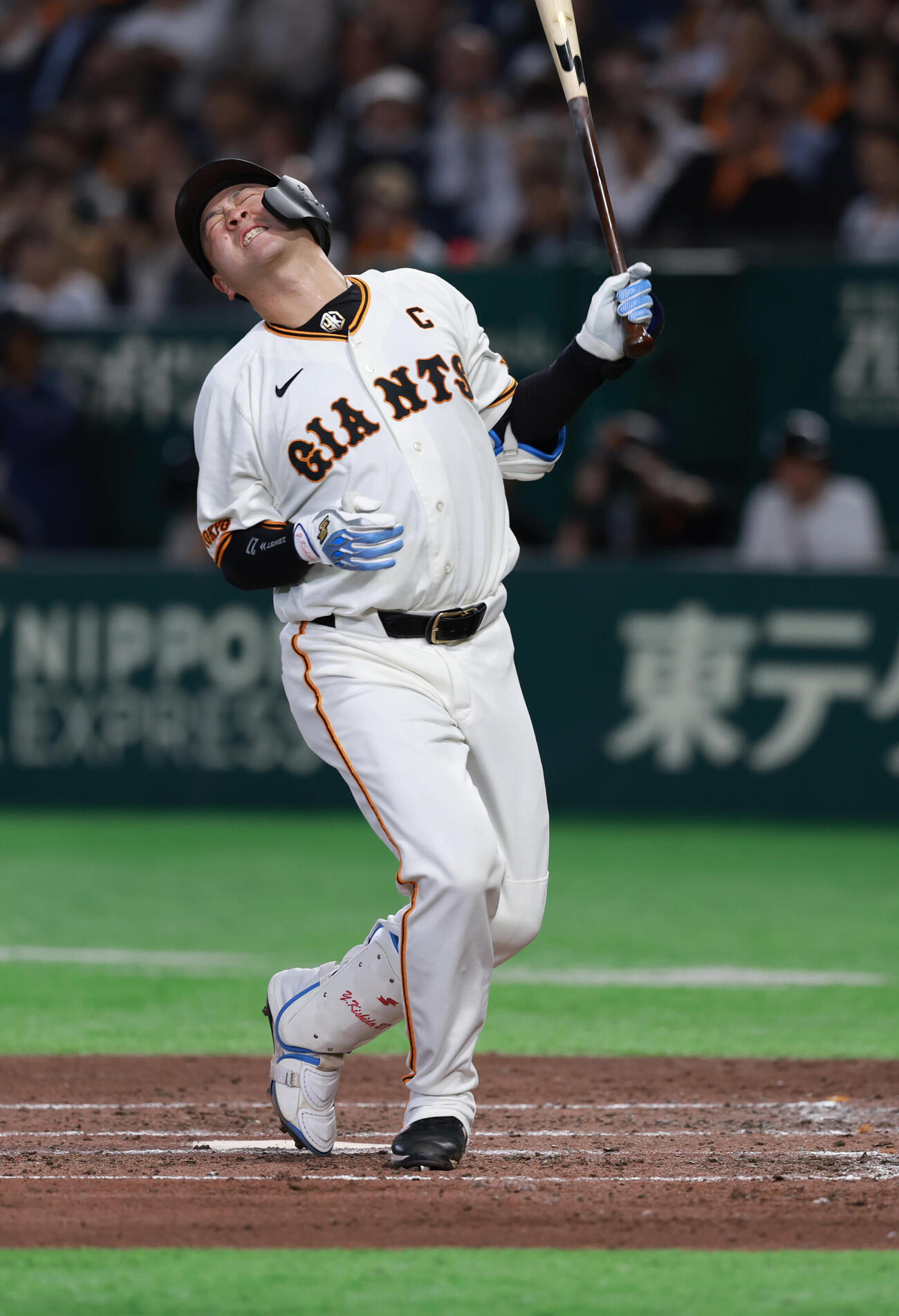 巨人対ロッテ　5回裏巨人無死、死球を受け悶絶する岸田行倫（撮影・水谷安孝）