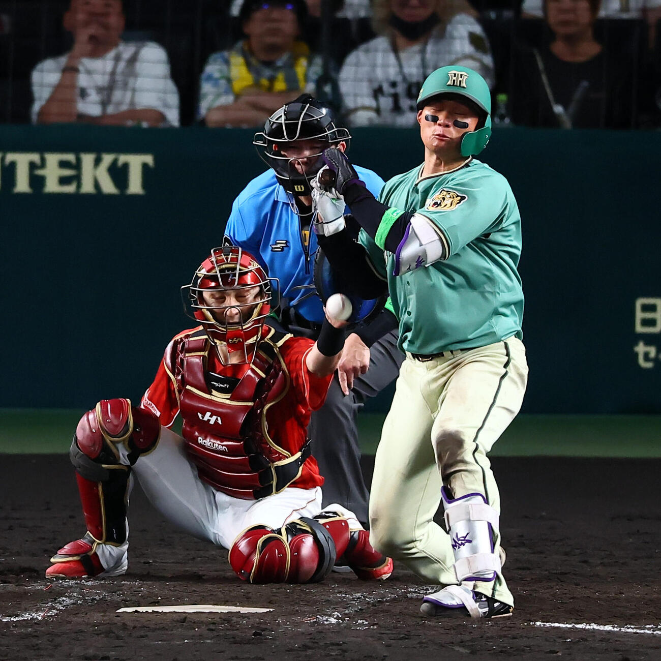 阪神対楽天　5回裏阪神2死一塁、死球受ける森下翔太（撮影・加藤哉）
