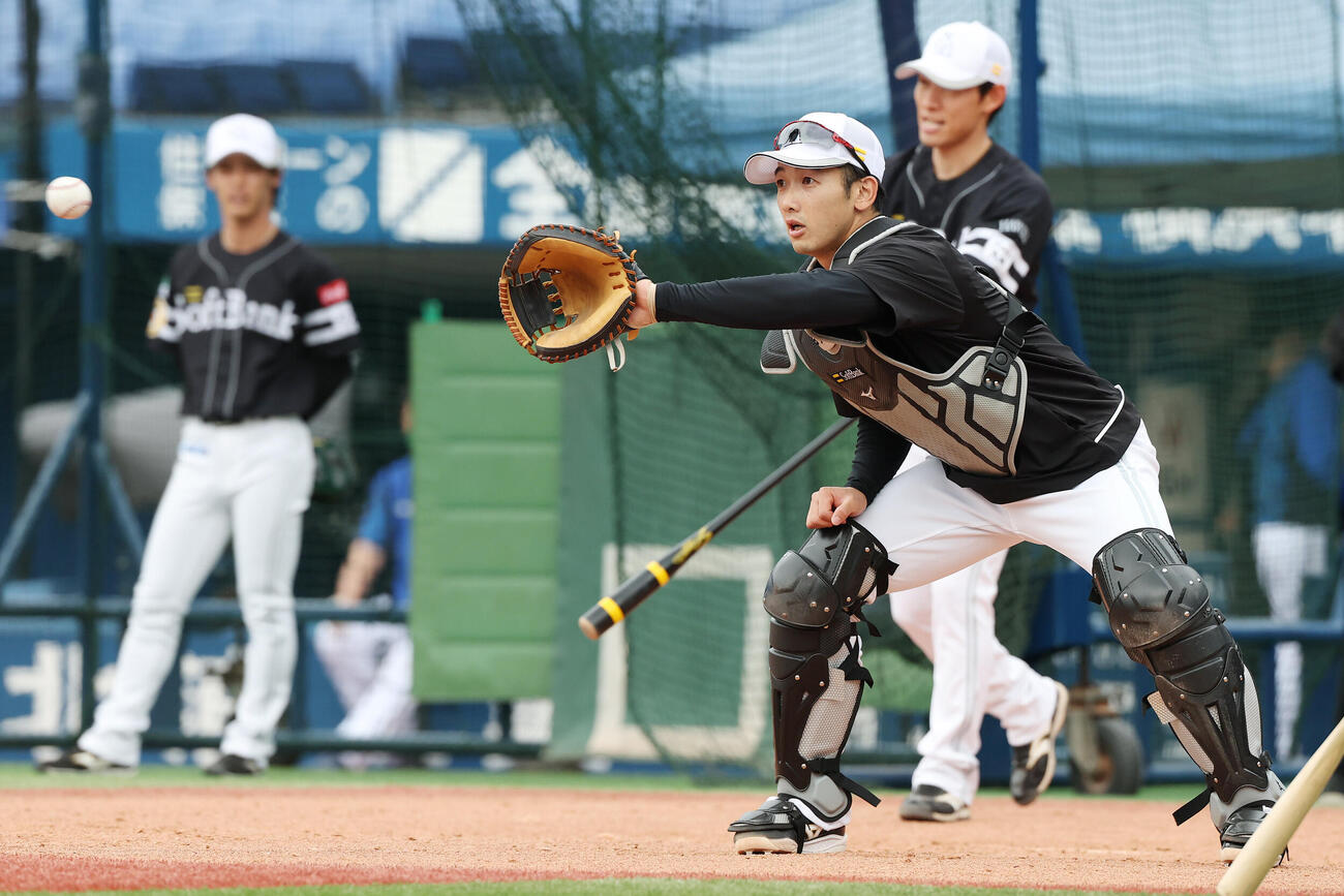 DeNA対ソフトバンク　試合前、シートノックを受けるソフトバンク山本祐大（撮影・宮地輝）