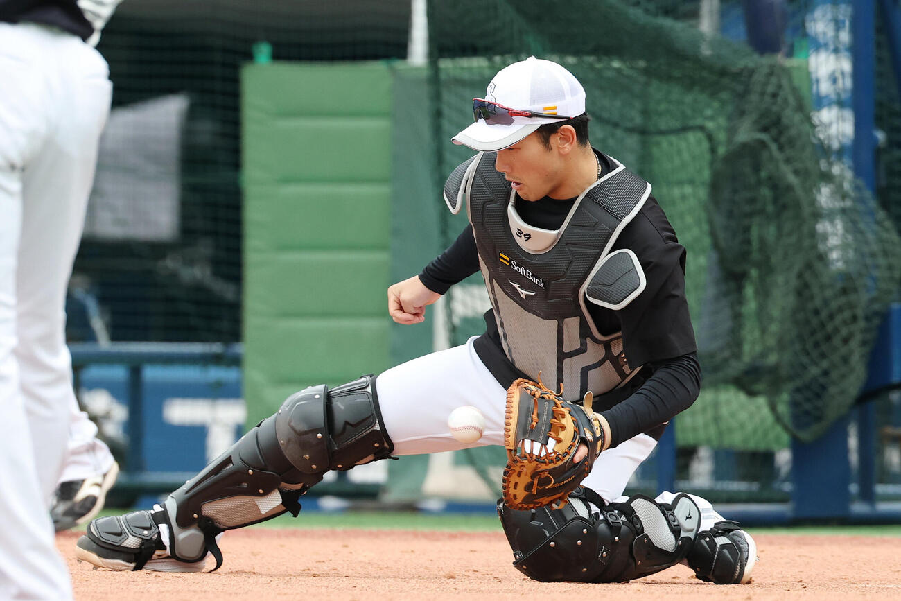 DeNA対ソフトバンク　試合前、シートノックを受けるソフトバンク山本祐大（撮影・宮地輝）