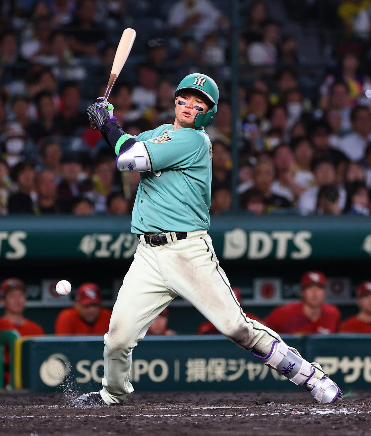 阪神対楽天　5回裏阪神2死一塁、森下翔太は死球を受ける（撮影・上田博志）