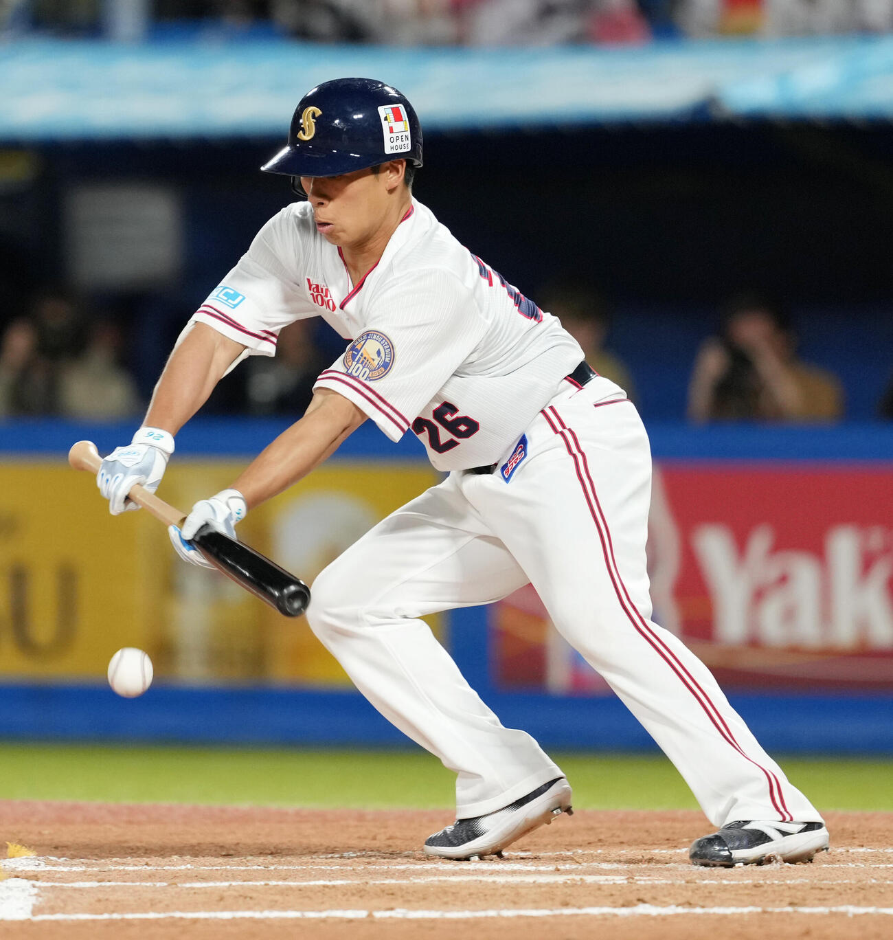 ヤクルト対日本ハム　6回裏ヤクルト2死一、二塁、山野太一はセーフティーバントを試みるもアウトとなる（撮影・小沢裕）