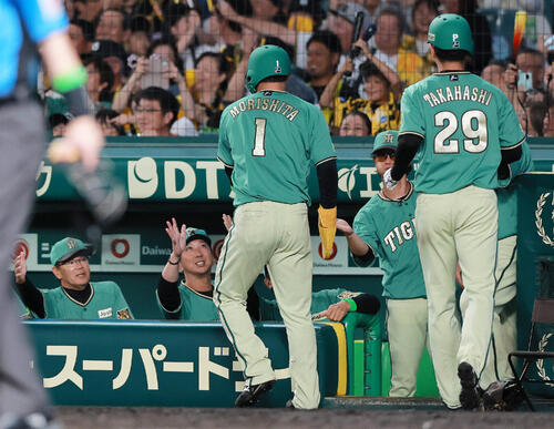 阪神】藤川監督、死球で途中交代の森下翔太に「報告を受けていません