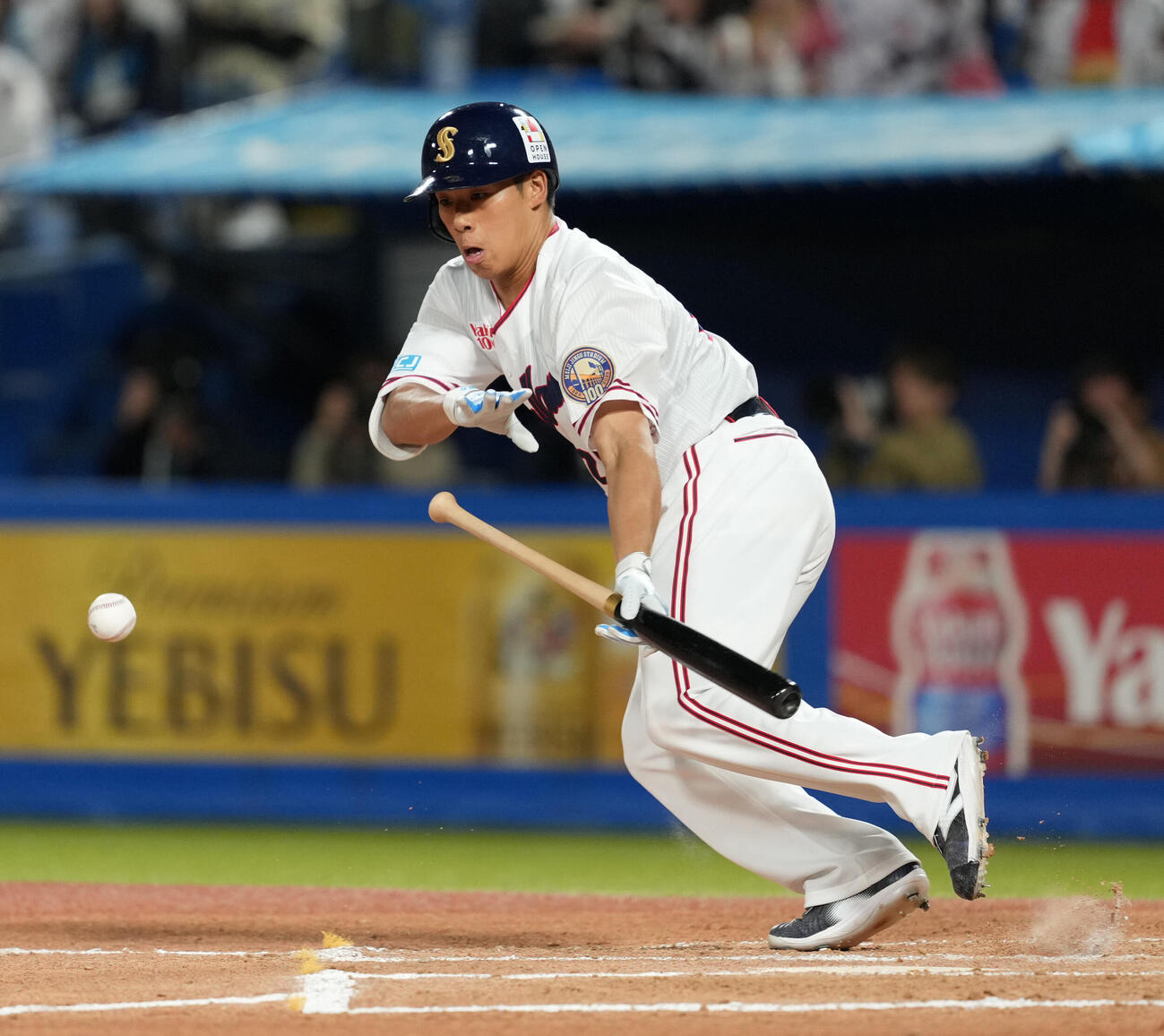 ヤクルト対日本ハム　6回裏ヤクルト2死一、二塁、山野太一はセーフティーバントを試みるもアウトとなる（撮影・小沢裕）　