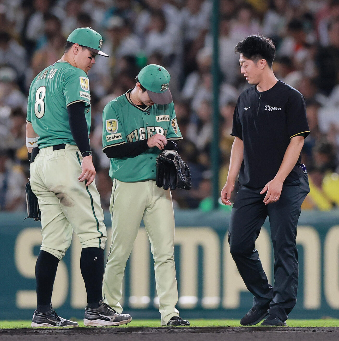 阪神対楽天　7回表楽天無死、平良竜哉の右前打で取れたグラブをつける中野拓夢（中央）（撮影・上山淳一）