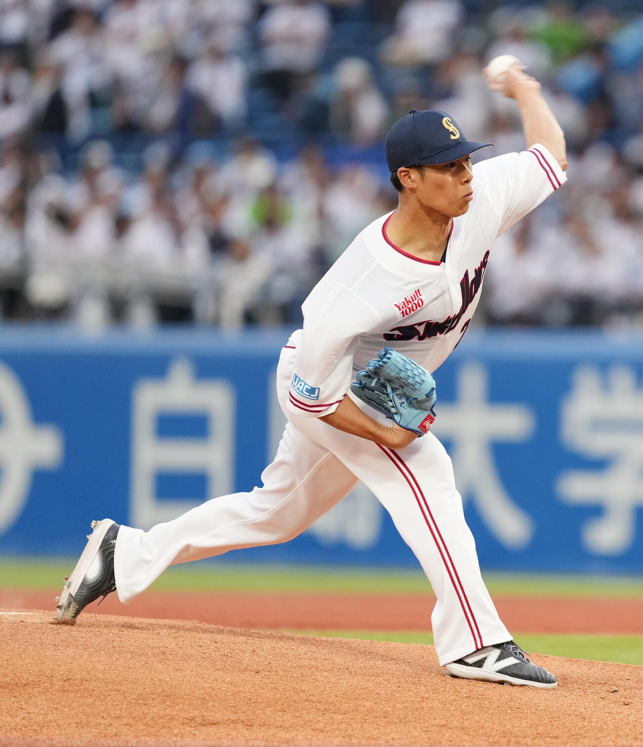 ヤクルト対日本ハム　ヤクルト先発の山野太一（撮影・小沢裕）