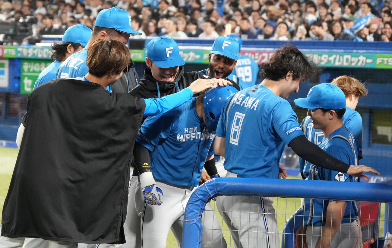ヤクルト対日本ハム　延長11回表日本ハム無死、水野達稀は勝ち越しソロ本塁打を放ちベンチのナインから手荒い祝福を受ける（撮影・小沢裕）