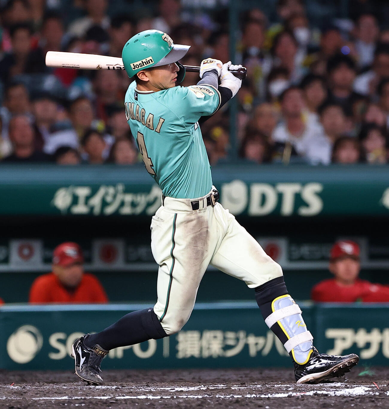 阪神熊谷敬宥（2026年撮影）