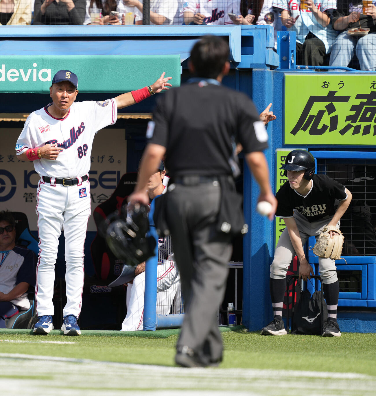 ヤクルト対日本ハム　4回表日本ハム2死一、二塁、二塁走者のカストロが暴投間に生還したプレーを巡りセーフの判定は覆らなかったものの2度目のリクエストを要求するヤクルト池山隆寛監督（撮影・小沢裕）