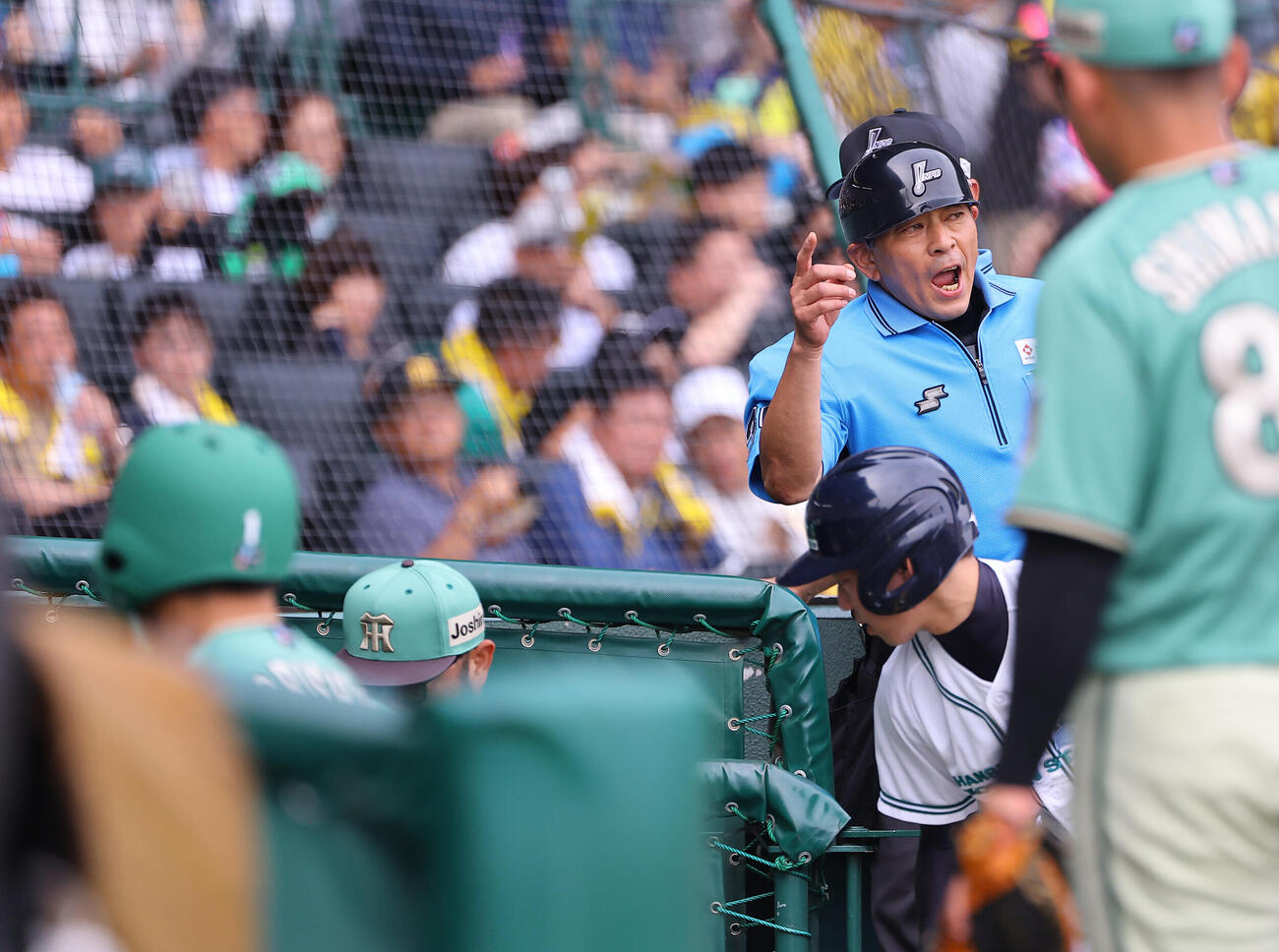 阪神対楽天　5回裏阪神2死一塁、暴言をはいた森下翔太（左）に退場を宣告する真鍋球審（撮影・上田博志）