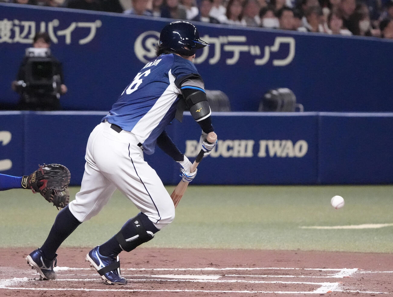プロ野球交流戦中日対西武　7回表西武1死二、三塁、スクイズを決める隅田知一郎（撮影・森本幸一）