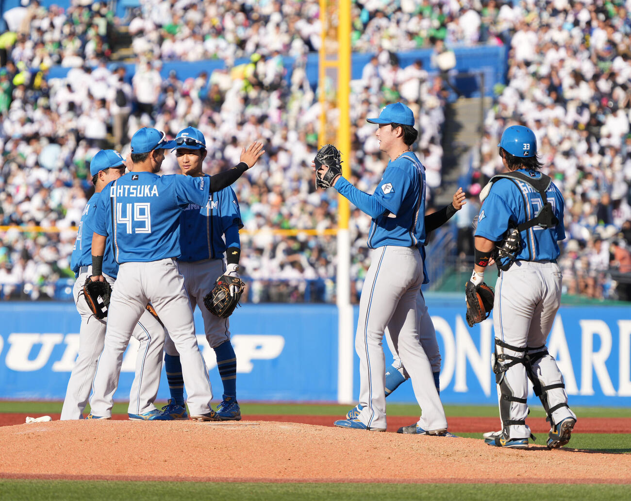 ヤクルト対日本ハム　勝利に沸く日本ハムナイン（撮影・小沢裕）