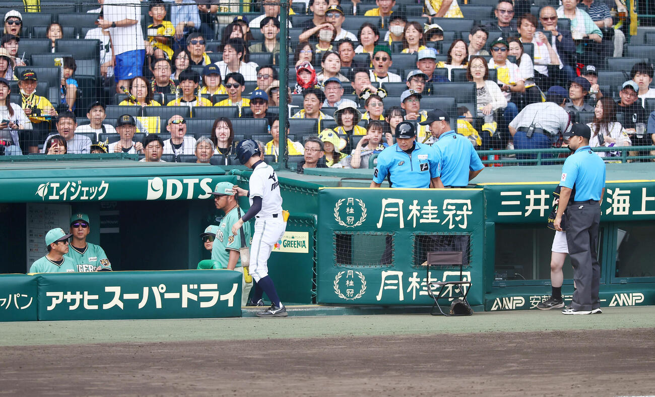 阪神対楽天　5回裏阪神2死一塁、三振に.倒れた森下翔太はベンチ前で審判に対する暴言を吐いたとして退場となる（撮影・加藤哉）＝2026年6月6日　　