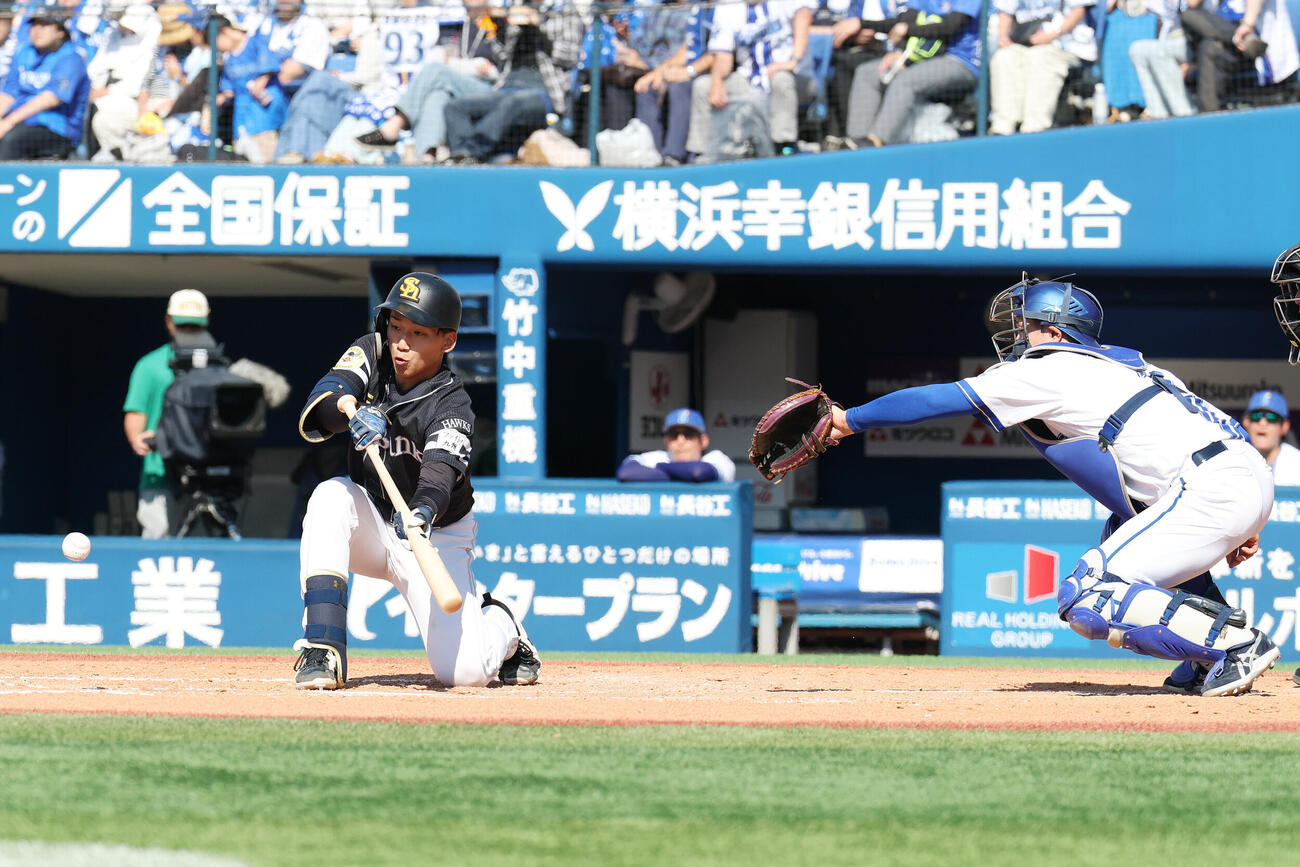 DeNA対ソフトバンク　5回表ソフトバンク1死一塁、送りバントを決める前田悠伍。右は捕手松尾汐恩（撮影・宮地輝）